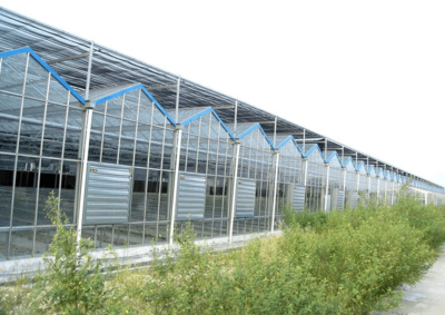 連棟玻璃溫室為何備受青睞 探析其材料選擇與配套設(shè)施設(shè)計(jì)的優(yōu)勢