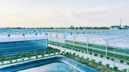 智慧農(nóng)業(yè)賦能美麗城鎮(zhèn) 平湖農(nóng)開的大棚材料與配套設(shè)施設(shè)計(jì)實(shí)踐