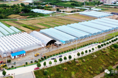 漢臺(tái)農(nóng)業(yè)溫室項(xiàng)目 科技賦能現(xiàn)代農(nóng)業(yè) 繪就鄉(xiāng)村振興新畫卷