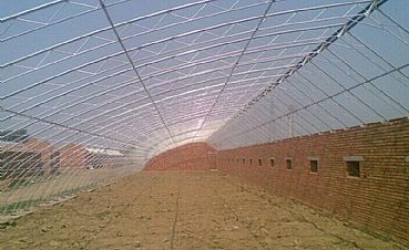 花卉溫室大棚的現(xiàn)代化優(yōu)勢 從基礎(chǔ)建設(shè)到專業(yè)園藝服務(wù)